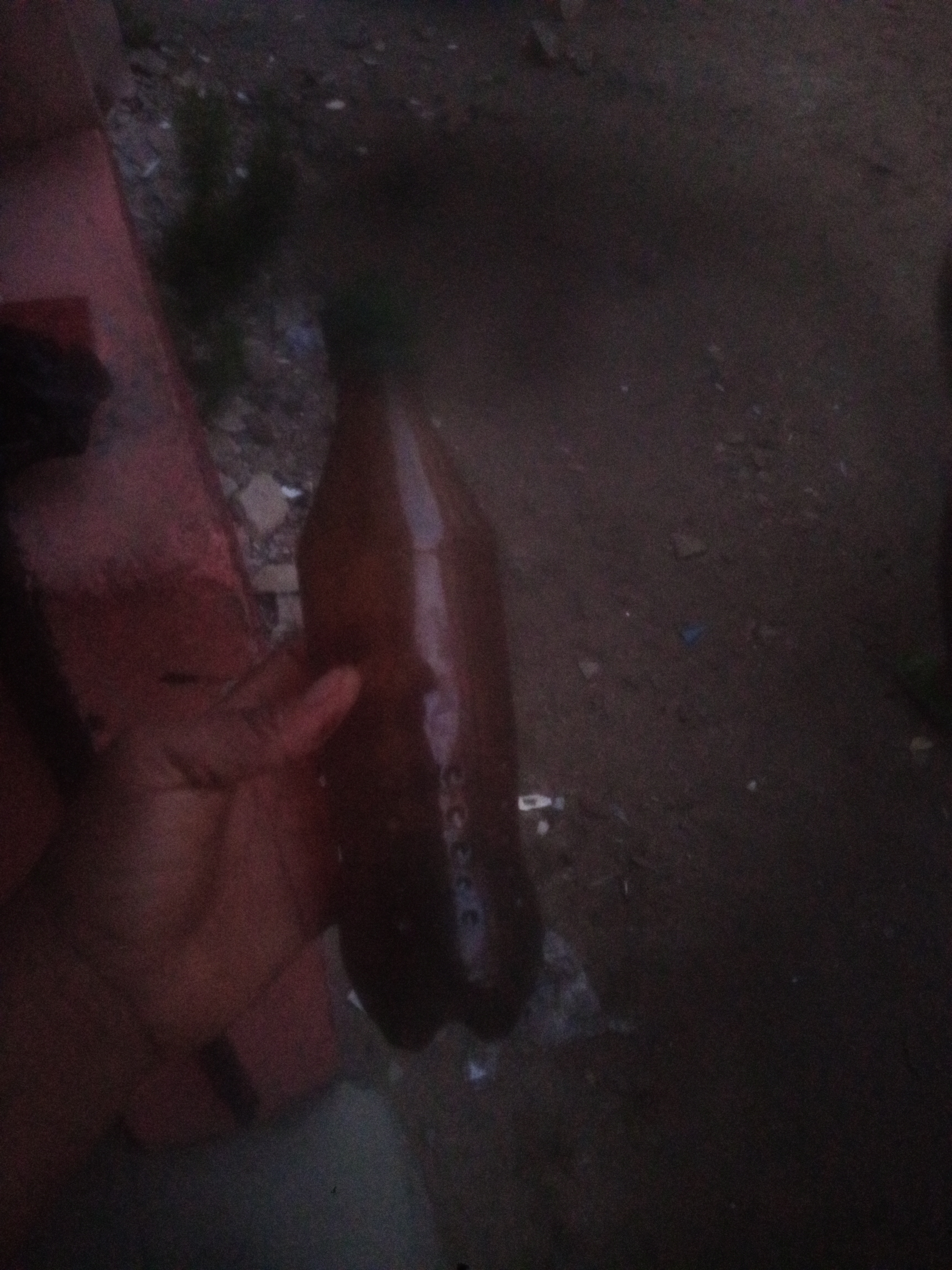 I need condemned engine oil in large quantity 